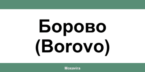 Офиси и работно време на Банка ДСК в Борово (Borovo)