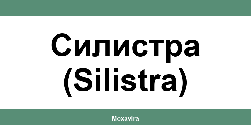 Офиси и работно време на Банка ДСК в Силистра (Silistra)